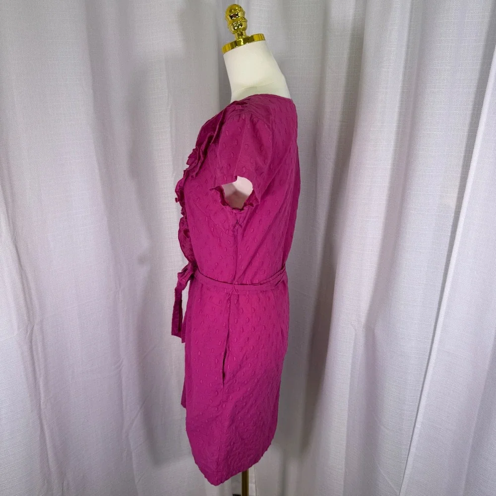Tabitha Anthropologie Ruffle Swiss Dot Dress Women 12 Pink Cotton Belted - Picture 12 of 14